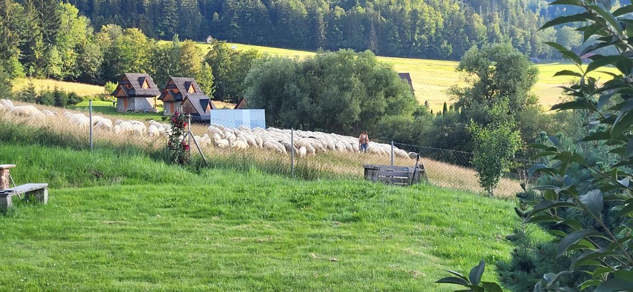 Grazynka Zakopane